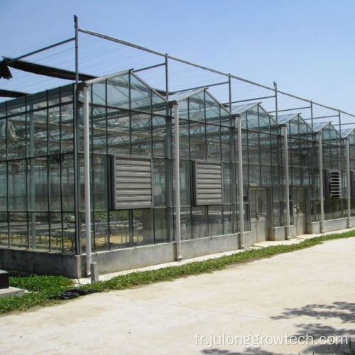 Venlo Glass Greenhouse pour les tomates aux fraises